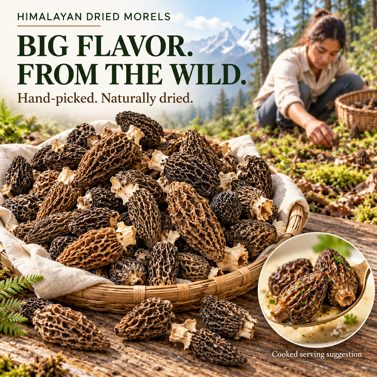 Dried Wild Morel Mushrooms – Hand-Harvested in the Himalayas-Hugh