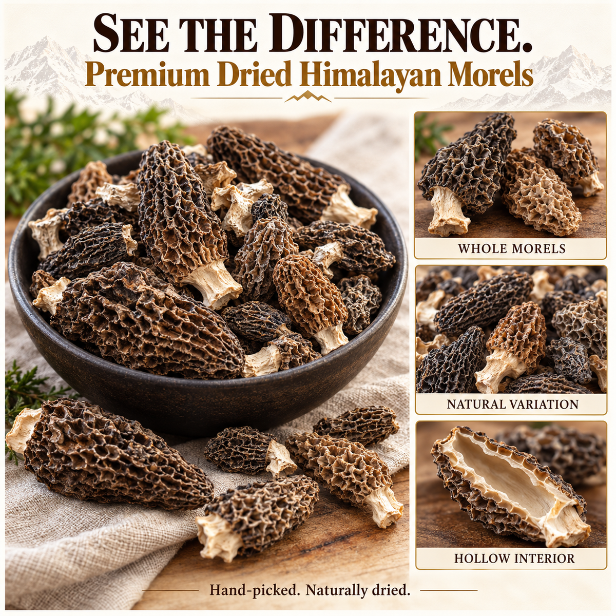 Dried Wild Morel Mushrooms – Hand-Harvested in the Himalayas-Hugh